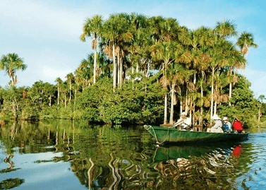 3d2n discover tambopata jungle classic tours