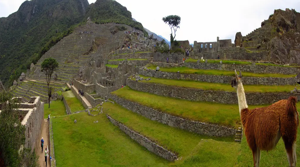 Machu Picchu Sacred Plaza